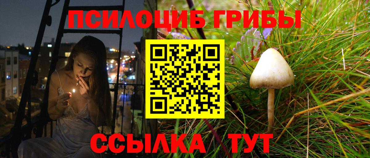 Псилоцибиновые грибы MAGIC MUSHROOMS Россошь